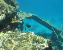 2010 New York - Panama - Costa Rica - Nicaragua &raquo; San Blas